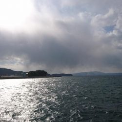 のませでメジロ狙い！！