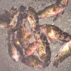 ライトライトライも