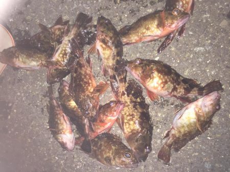 ライトライトライも