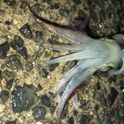 めちゃ寒かった