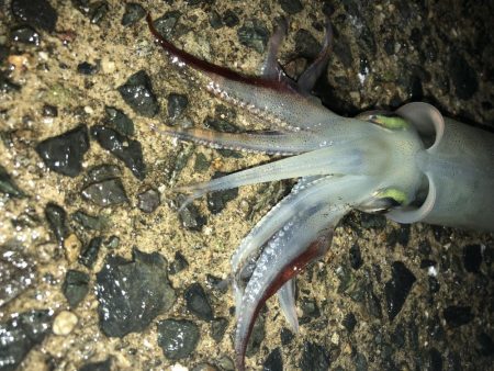 めちゃ寒かった