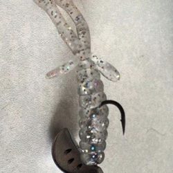 ロックフィッシュ