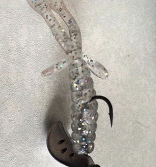 ロックフィッシュ