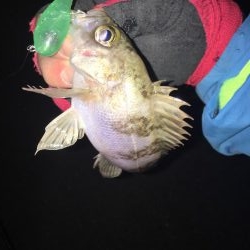 プラッギン…グ？