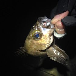 風は無い、潮流も無い