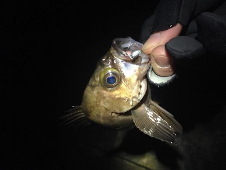 風は無い、潮流も無い