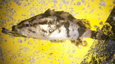 ちびっ子たちと