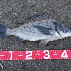 デイチニングで年無し