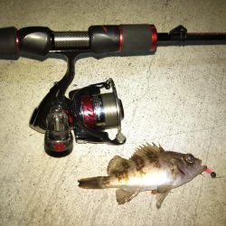 メバリング日和？な夜