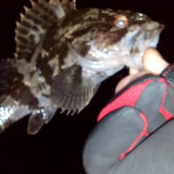 久しぶりの釣り