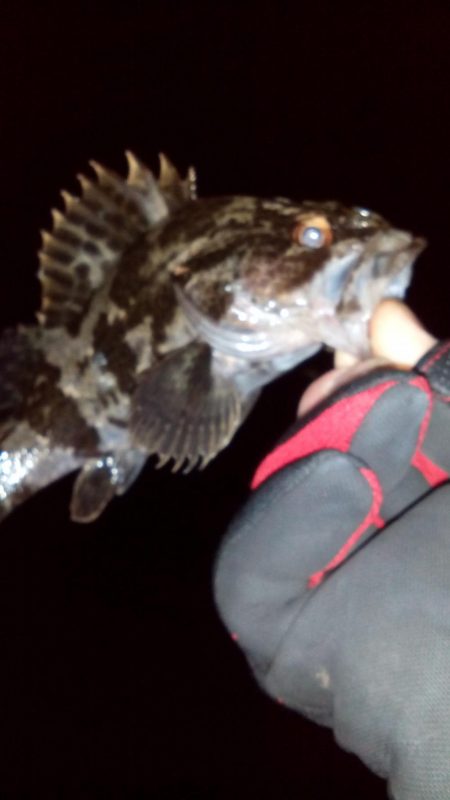 久しぶりの釣り