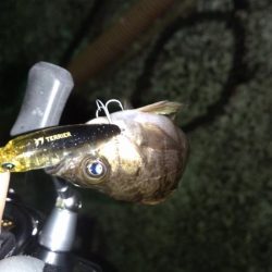 メバリングランガン