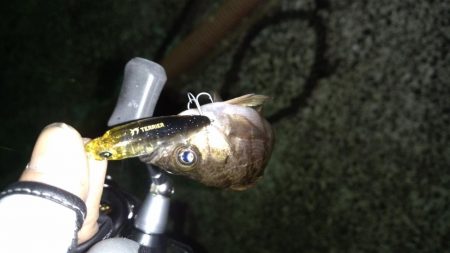 メバリングランガン