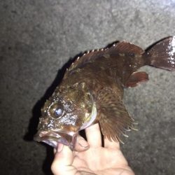 メバリングランガン