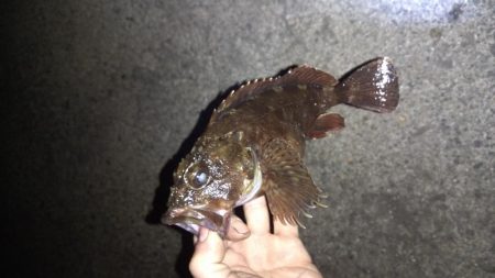 メバリングランガン