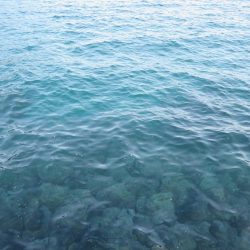 メバル狙いがカマス祭り！