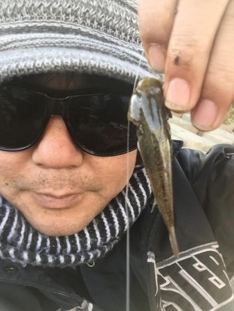 多摩川のガス橋下でチチブ爆釣。