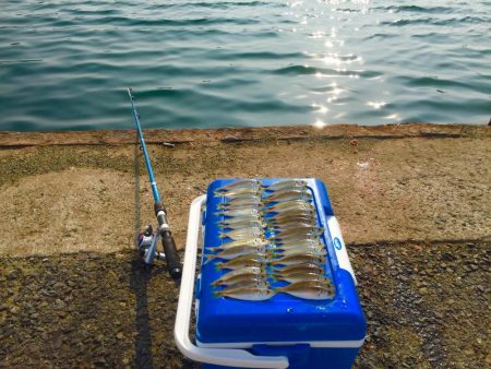 大阪に家族でサビキ釣りに行こう！ファミリーフィッシング　サビキの釣り情報1月〜6月