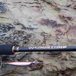 昨日に引き続き