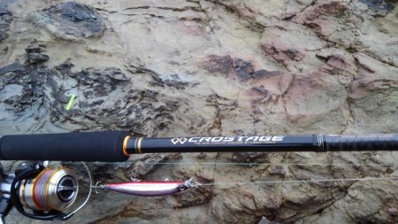 昨日に引き続き