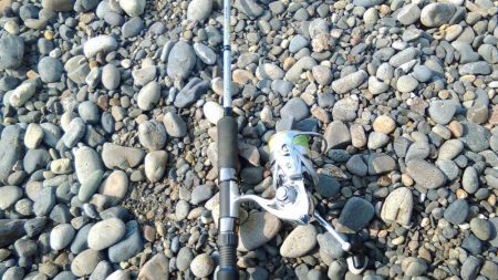 ヒラメ、サゴシを狙いに