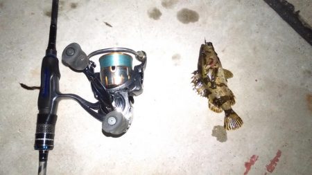 王道のメバリング