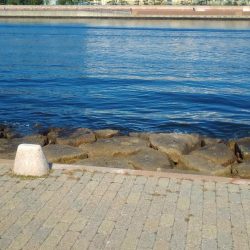 爆釣ライトゲーム開幕❗