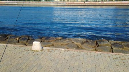 爆釣ライトゲーム開幕❗