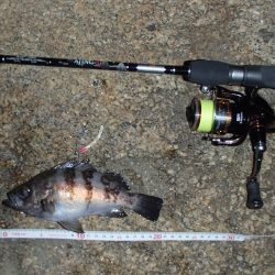 ナイトメバリング