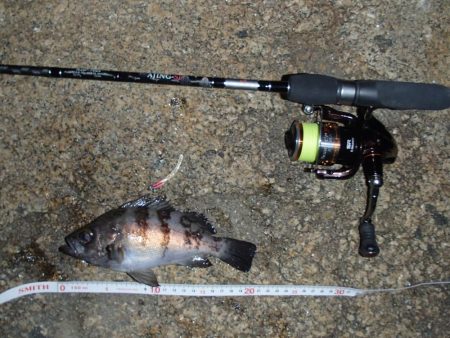 ナイトメバリング