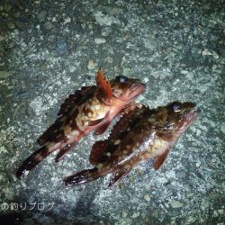 今回は寒かった〜!