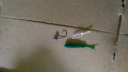 ストラクチャーにタイトに付くメバルを釣ってみた