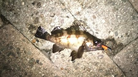 オカズ探しにぶらり旅