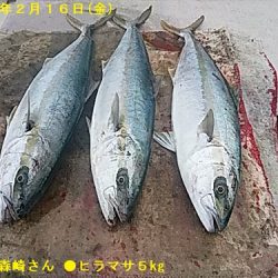 平戸市早福港:光義丸の釣果