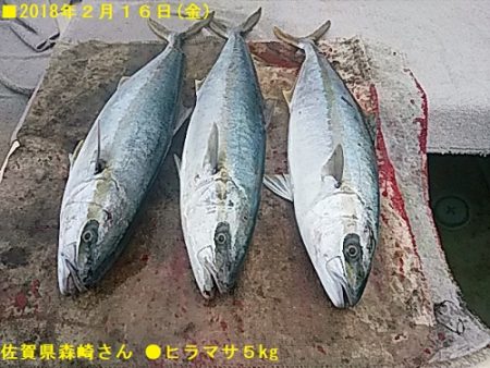 平戸市早福港:光義丸の釣果