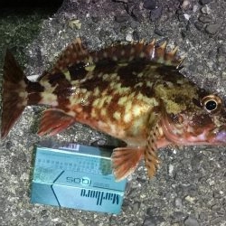 え！あっ！うっ！？