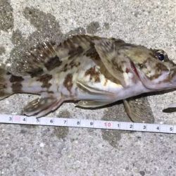 プラグはきつい・・・