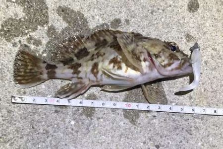 プラグはきつい・・・