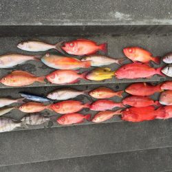 2月の4日間  屋久島の海釣り