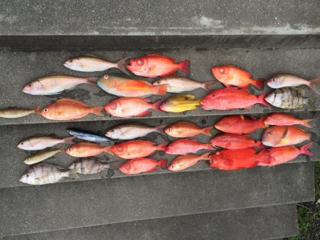 2月の4日間  屋久島の海釣り