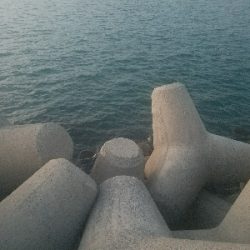 ガシラ釣り　～やや場荒れしてるかも～