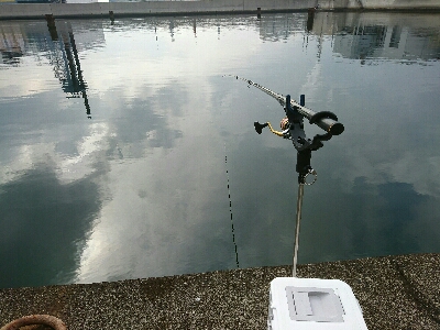 エビ蒔きでハネ釣り