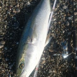 桂浜１番サーフ