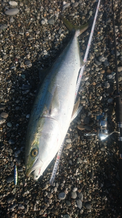 桂浜１番サーフ