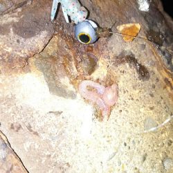 久しぶりのコンディション