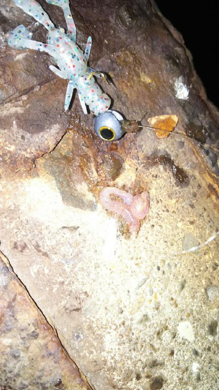 久しぶりのコンディション