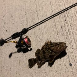 極寒ロックフィッシング