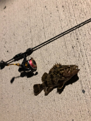 極寒ロックフィッシング