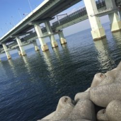 今年初フィッシュは人生初フィッシュ！