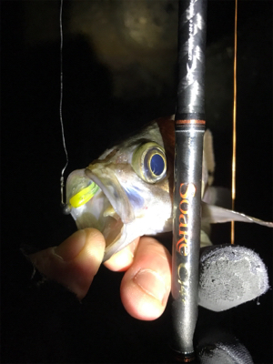 2日連チャンメバリング